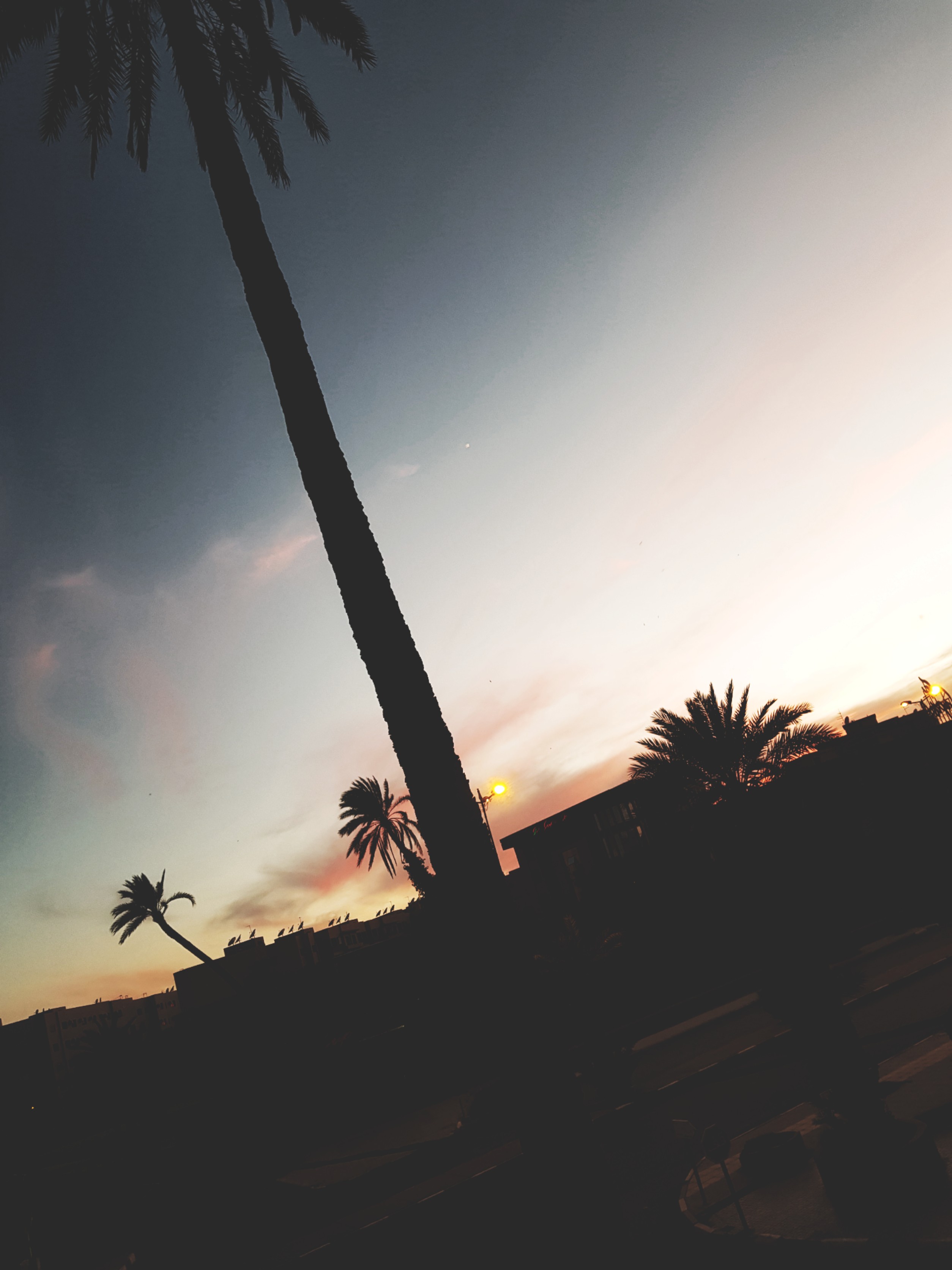 Photo C